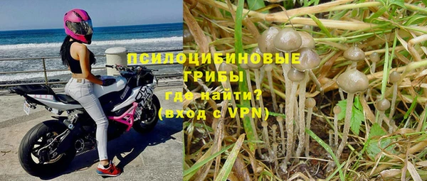 дмт Горнозаводск