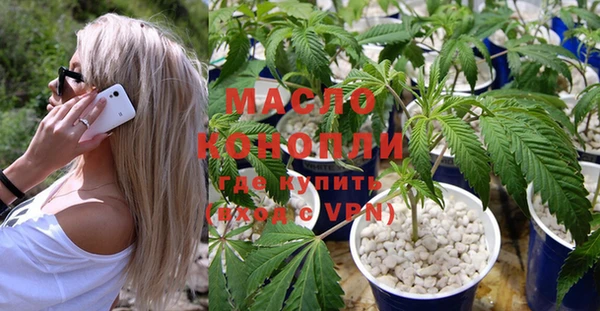 дмт Горнозаводск