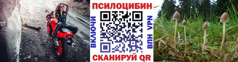 Купить где  Якутск  Псилоцибиновые грибы Magic Shrooms 